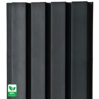 Panel elewacyjny WPC, 219x2900 mm, CZARNY gładka powierzchnia (0,63 m²)